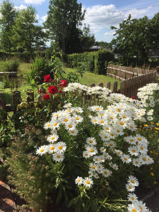 Slades Farm Bed and Breakfast Edington  Εξωτερικό φωτογραφία