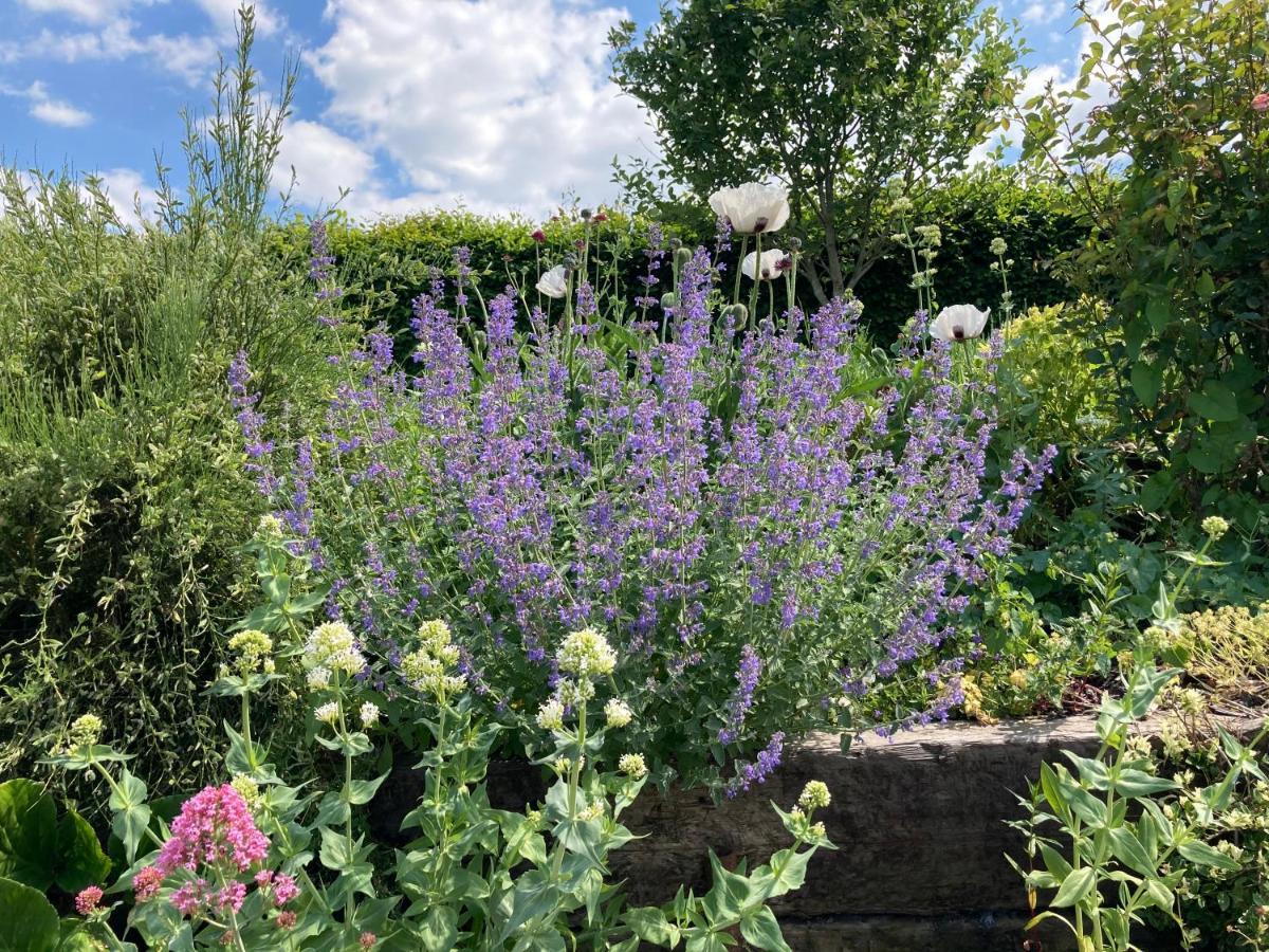Slades Farm Bed and Breakfast Edington  Εξωτερικό φωτογραφία